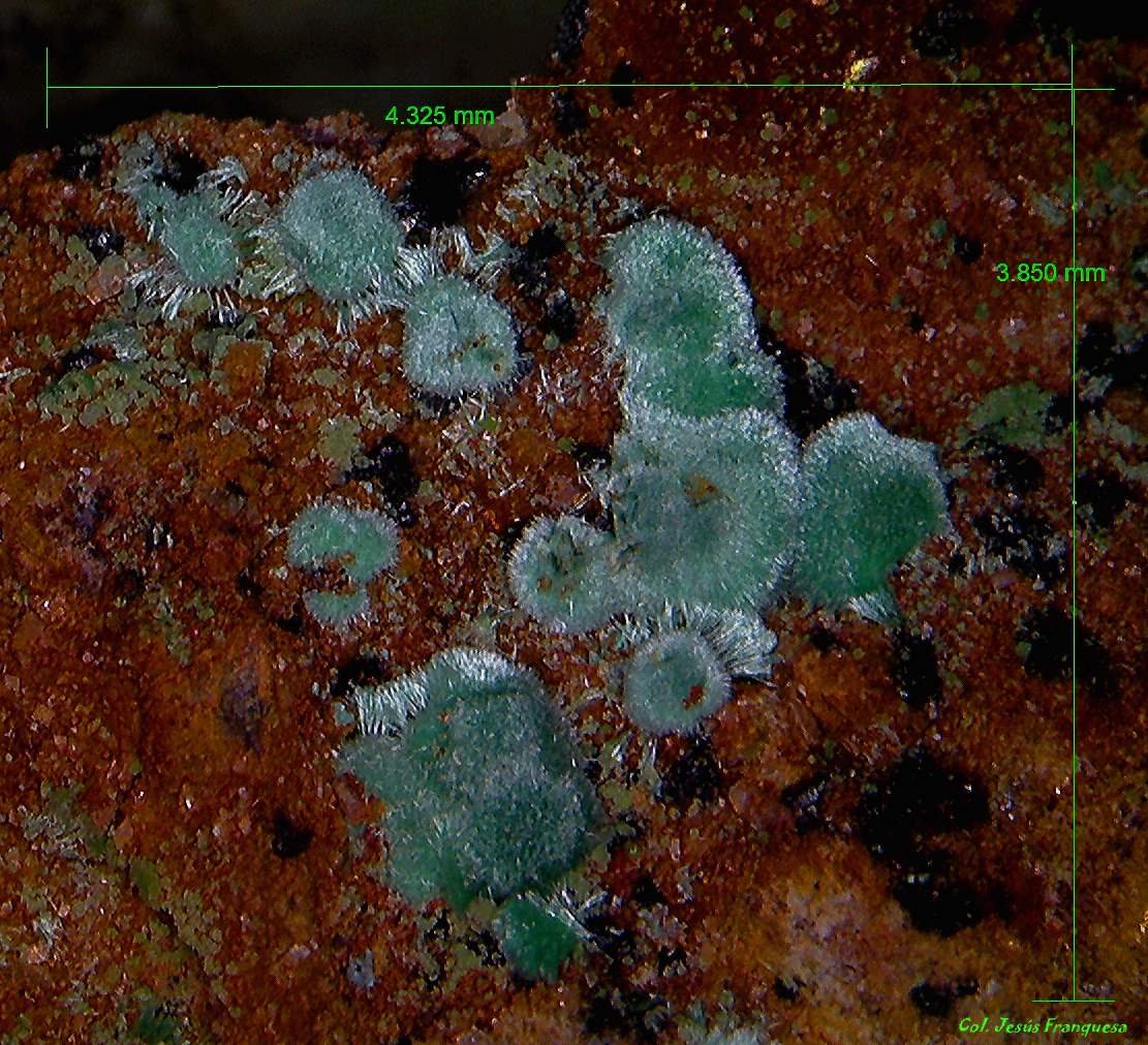 Malaquita.
4´325 x 3´850 mm.
(Autor: Jesus Franquesa Baucells)