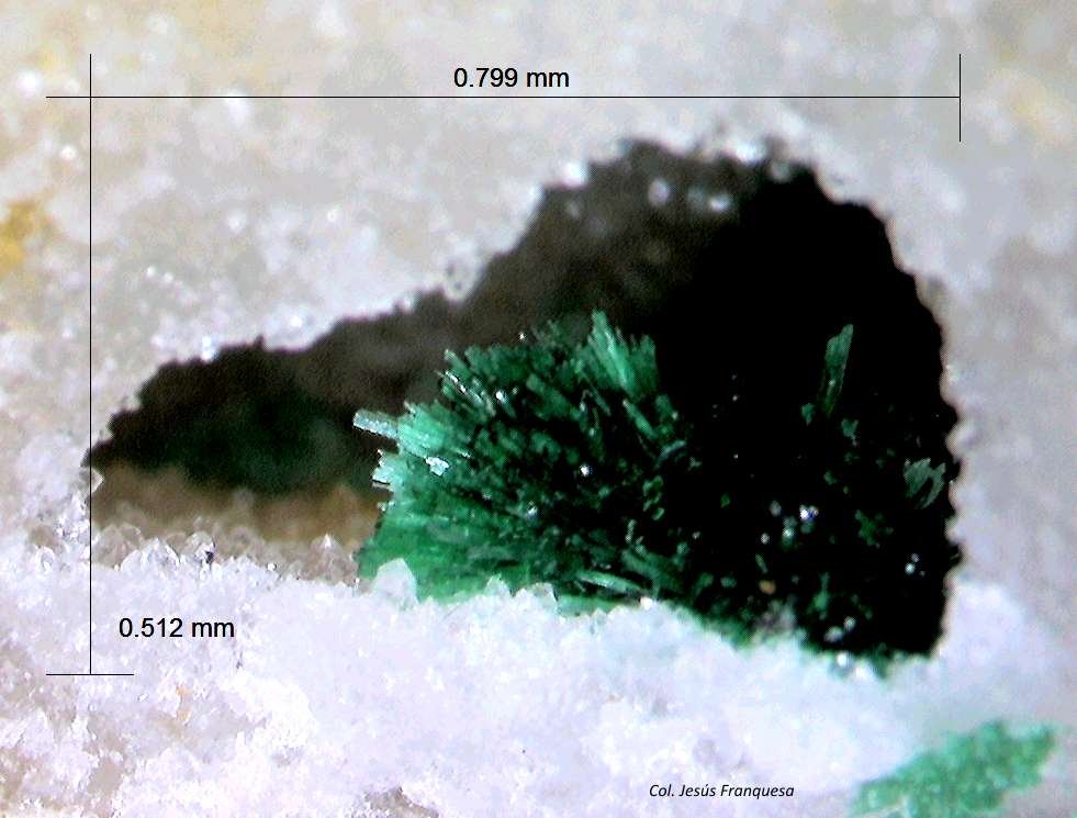 Malaquita y Cuarzo.
0´799 x 0´512 mm.
(Autor: Jesus Franquesa Baucells)