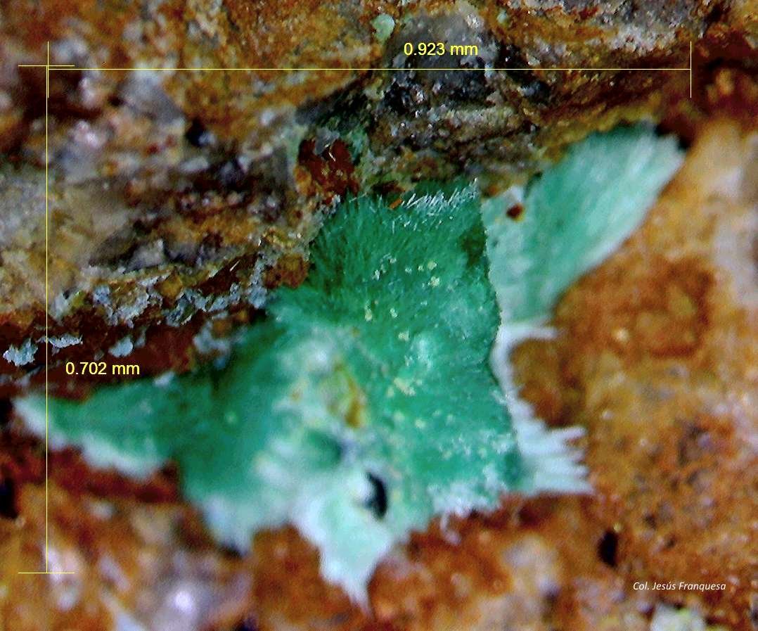 Malaquita.
0´923 x 0´702 mm.
(Autor: Jesus Franquesa Baucells)