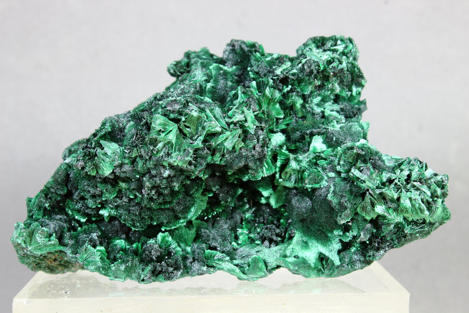 Malaquita
75x45x25 mm
(Autor: Juan Espino)