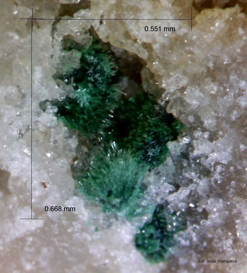 Malaquita y Cuarzo.
0´668 x 0´551 mm.
(Autor: Jesus Franquesa Baucells)