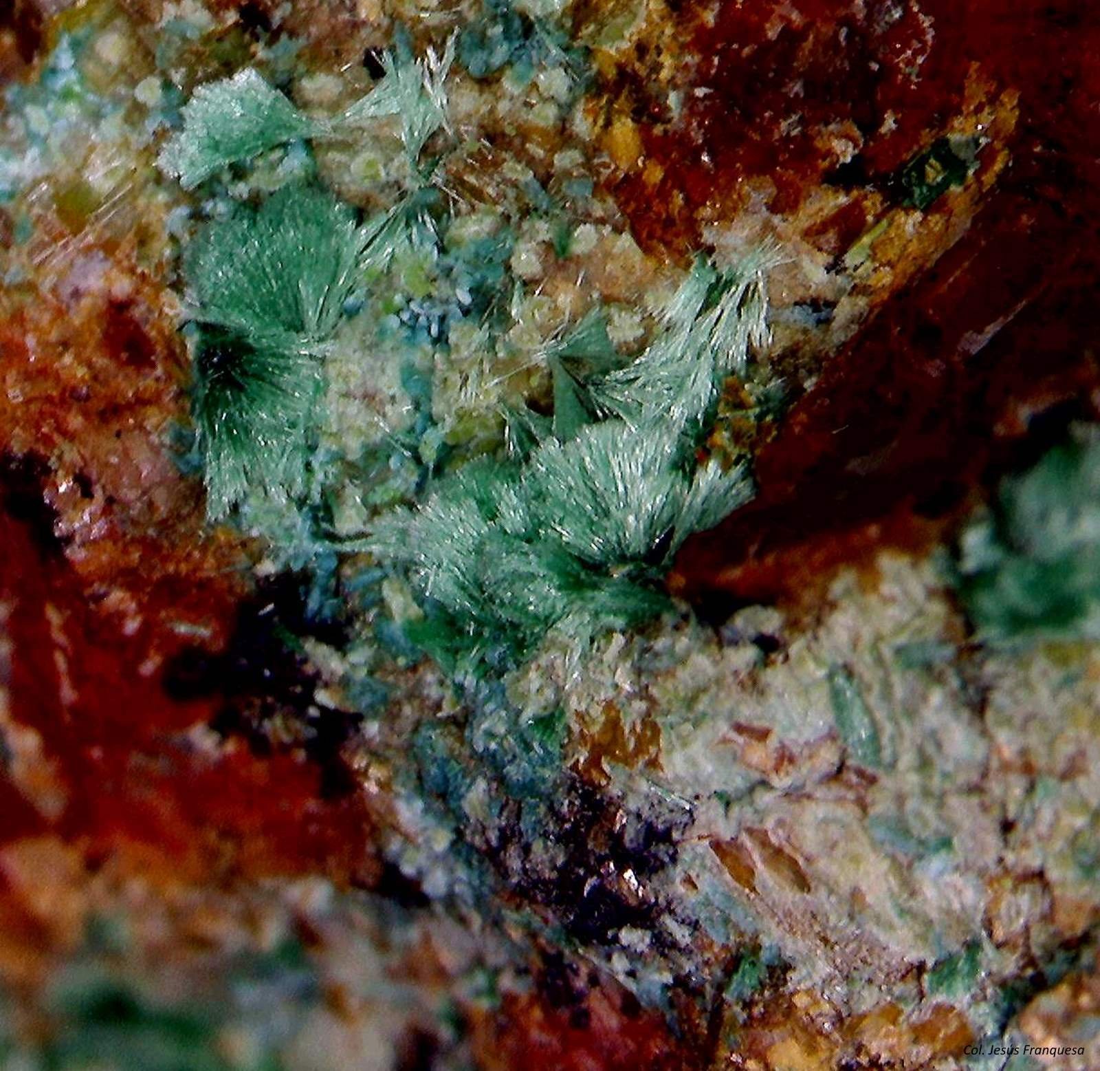 Malaquita.
3´693 x 3´451 mm.
(Autor: Jesus Franquesa Baucells)