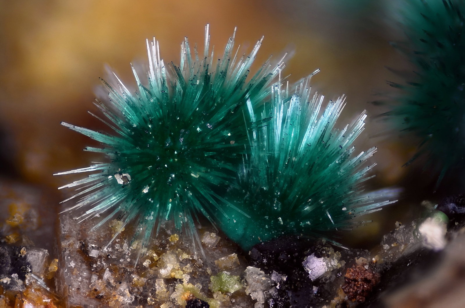 Malaquita
Campo de visión 2,1 mm
(Autor: Juan Miguel)