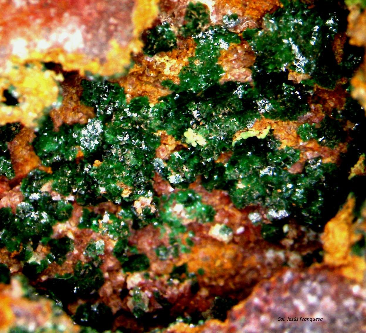 Malaquita
50x45 mm.
(Autor: Jesus Franquesa Baucells)