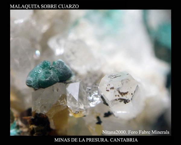 (Autor: Juan de Laureano)