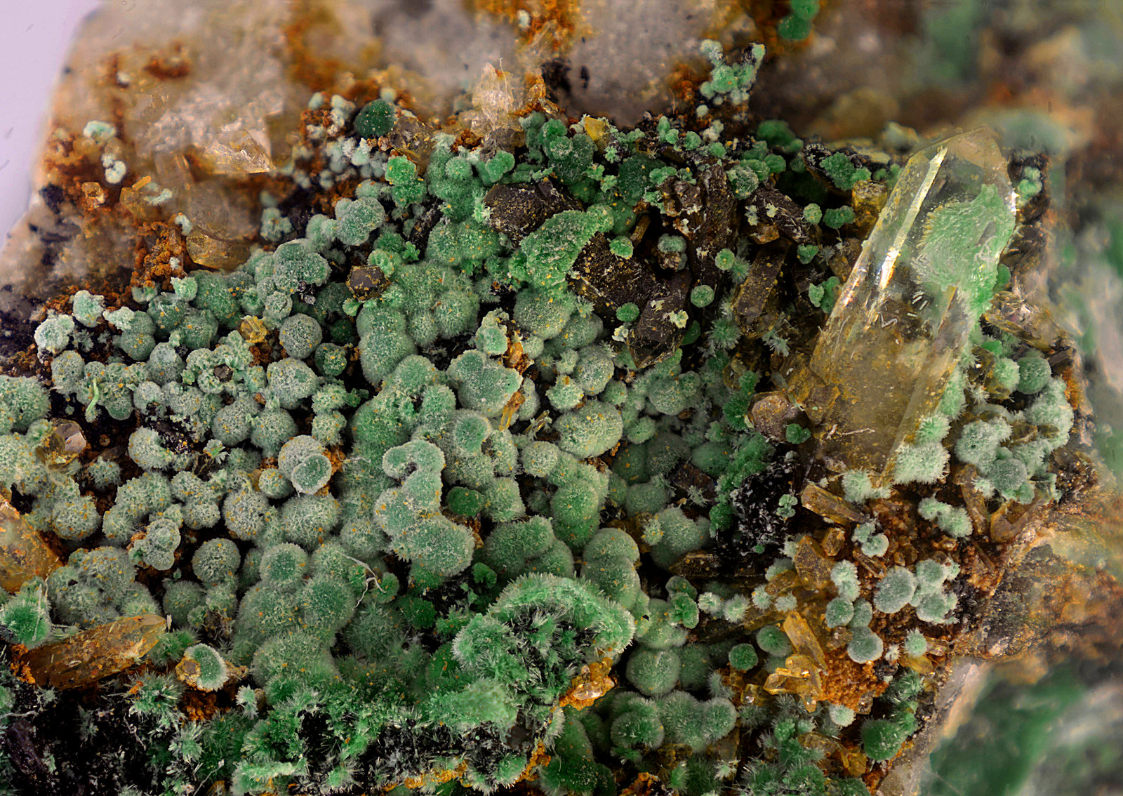 Malaquita
Campo de visión de 10 mm.
(Autor: Antonio Carmona)