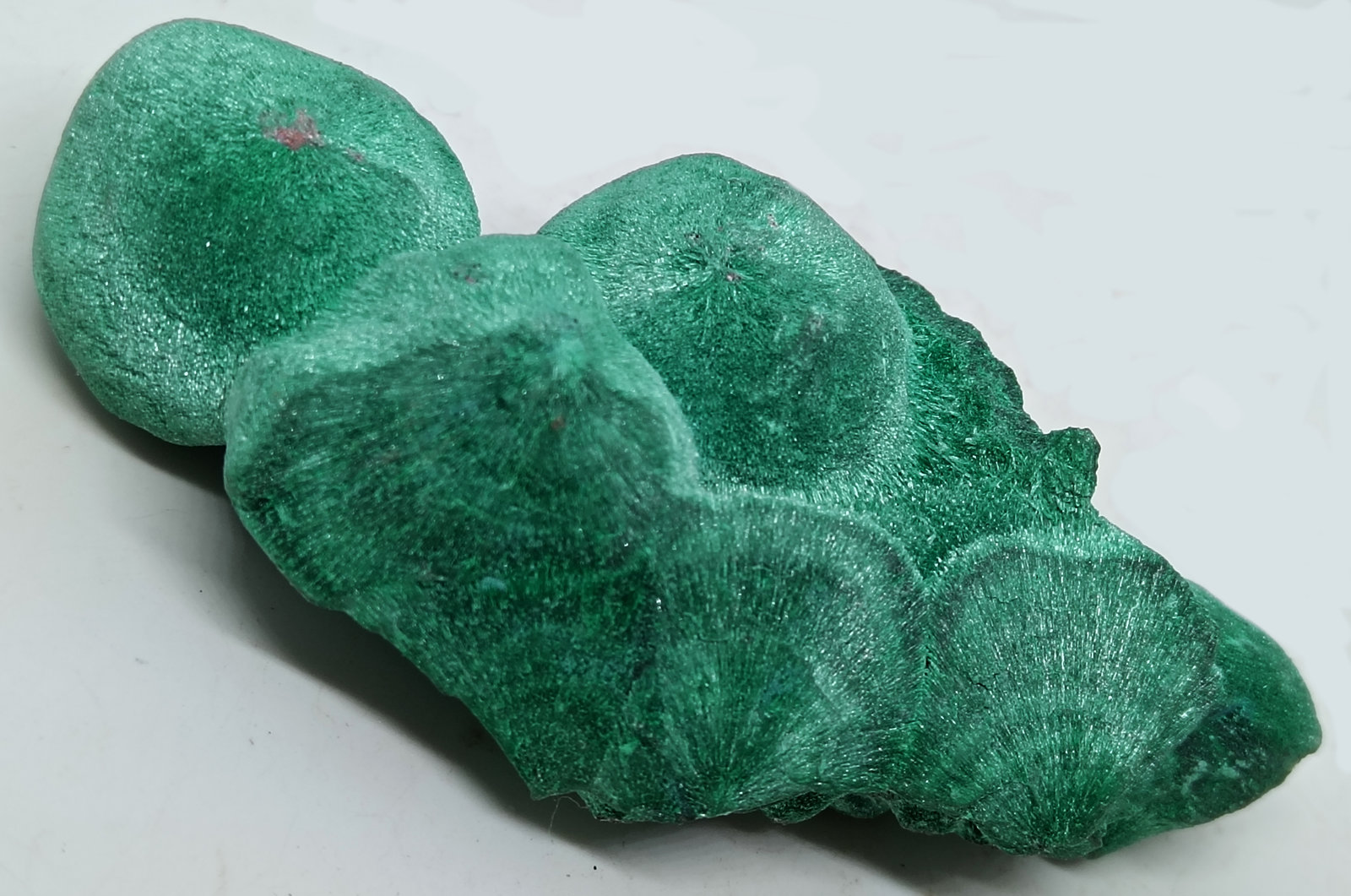 Malaquita
85x45x25 mm.
(Autor: Luis Edmundo Sánchez Roja)