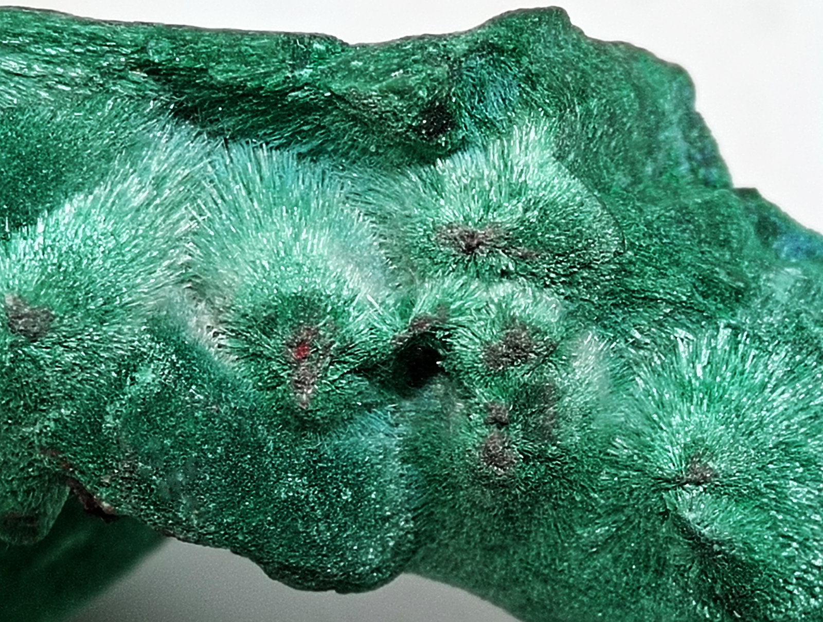 Malaquita
85x45x25 mm.
(Autor: Luis Edmundo Sánchez Roja)