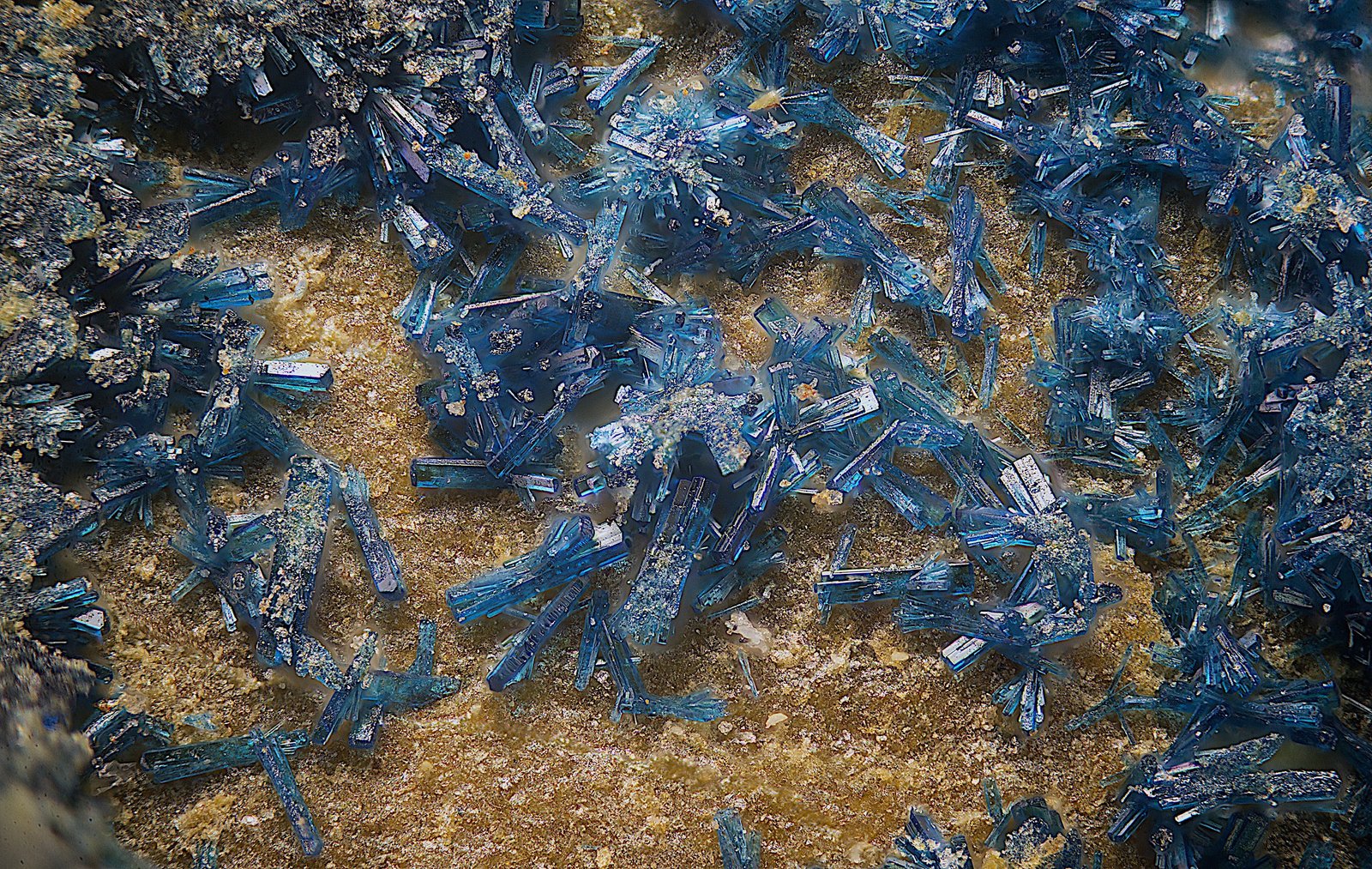 Clinoclasa
Campo de visión de  1 mm.
(Autor: Antonio Carmona)