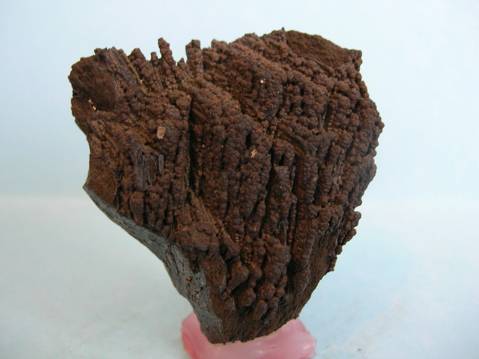 óxidos de manganeso
6 x 5 cm
(Autor: Pedro Conesa)