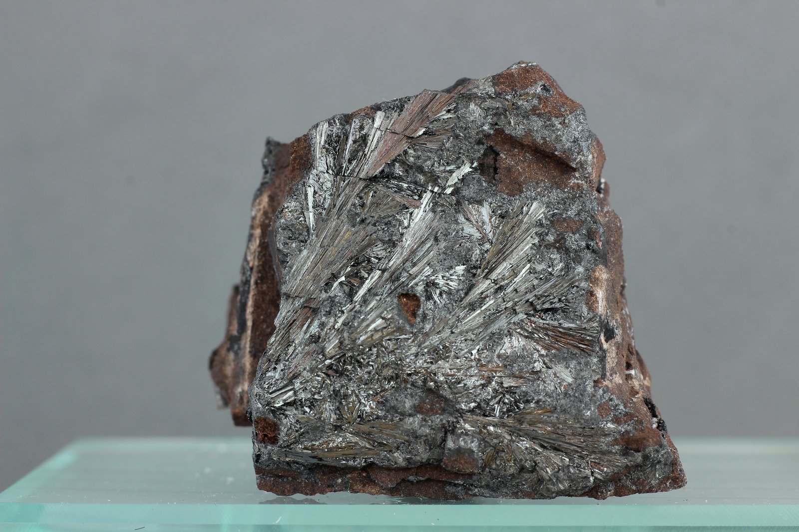 Pirolusita pseudo Manganita
33x30 mm
(Autor: Juan Espino)