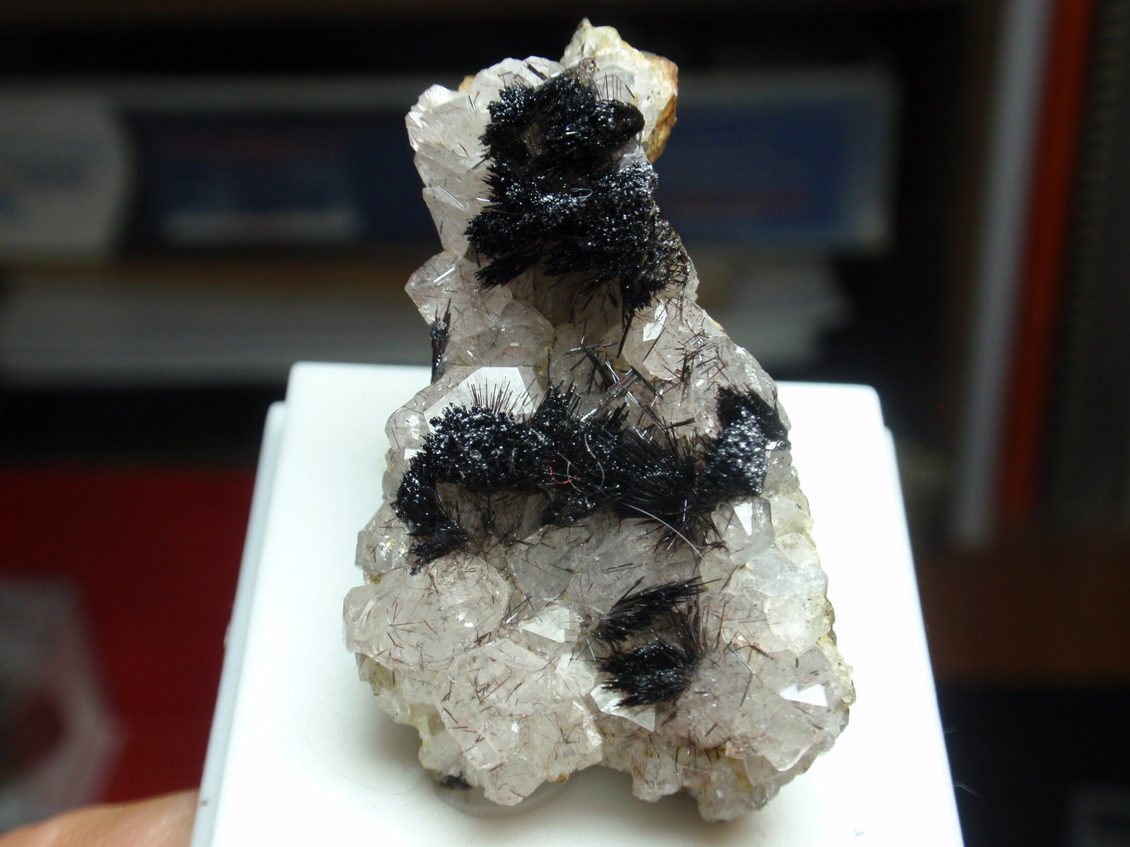 Goethita
25x40 mm
(Autor: Ignacio)