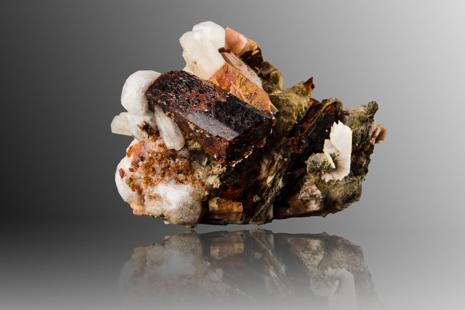 Manganoneptunita con Serandita, Natrolita y Analcima
5.5 x 5.5 x 4 cm / Cristal principal: 2.7 cm
(Autor: Museo MIM)