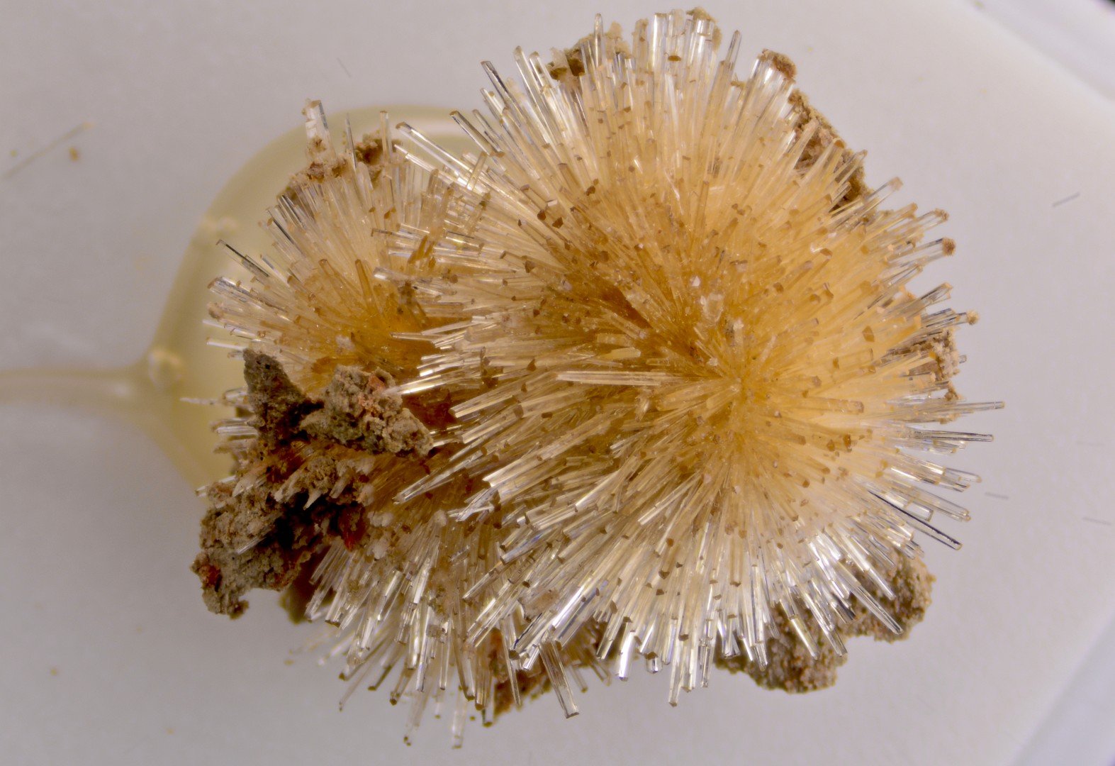 Aragonito
grupo 1.5 cm
(Autor: Cesar M. Salvan)
