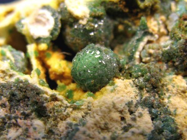 Variscita
Cristal de 5 mm.
(Autor: Calita)