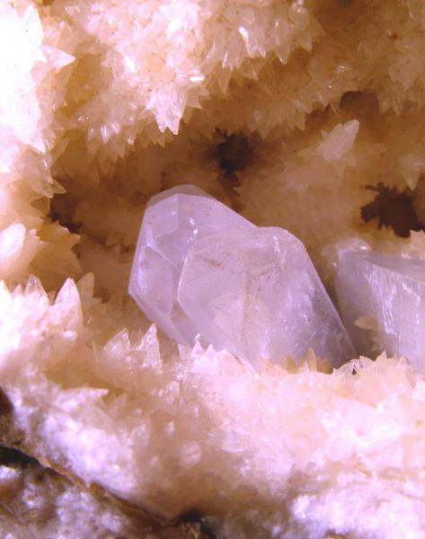 Celestina
Cristales de 1,8 cm.
(Autor: Calita)