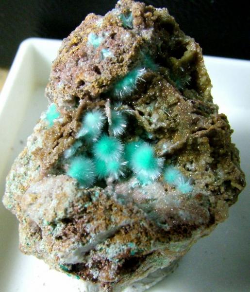 Auricalcita
5 x 4 cm.
(Autor: Calita)