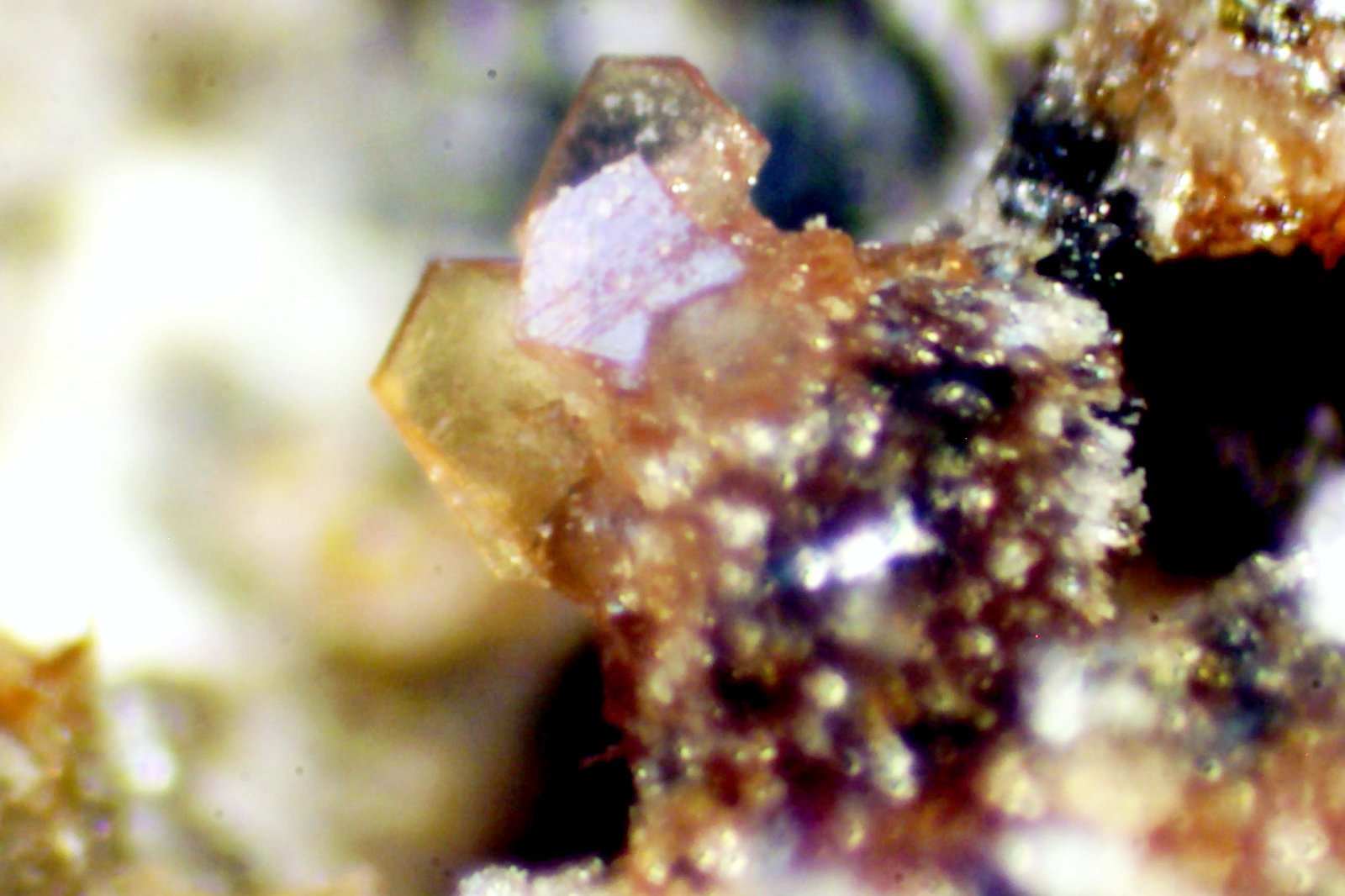 Melilita (Grupo)
< 1 mm
(Autor: José Luis Zamora)