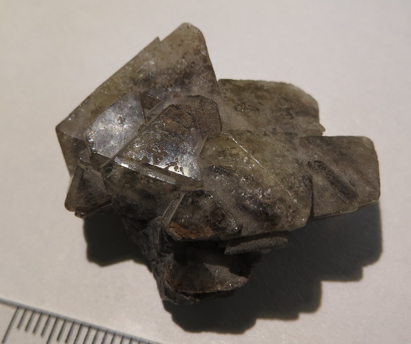 Melita
3,5 x 3 x 1,5 cm  (peso: 10g)
(Autor: Kaszon Kovacs)