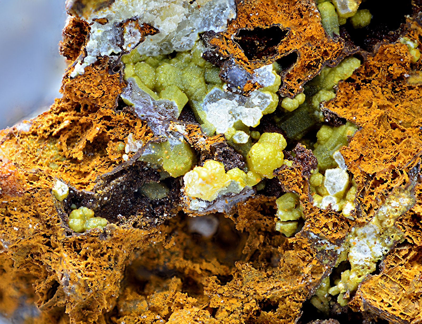 Piromorfita
Campo de visión de 12 mm
(Autor: Antonio Carmona)