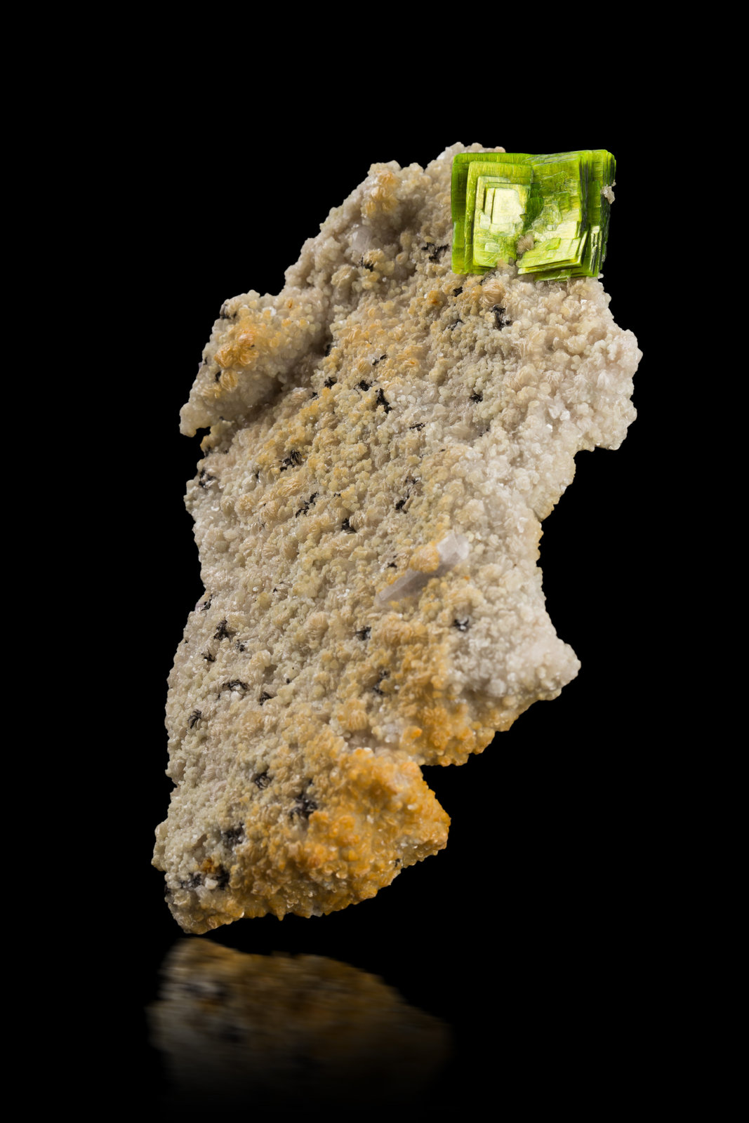 Meta-autunita [Meta-autunite] sobre Cookeíta [Cookeite] recubriendo Cuarzo [Quartz] pseudo Espodumena [Spodumene]
6.5 x 4 x 11 cm / cristal principal: 2.5 cm
(Autor: Museo MIM)