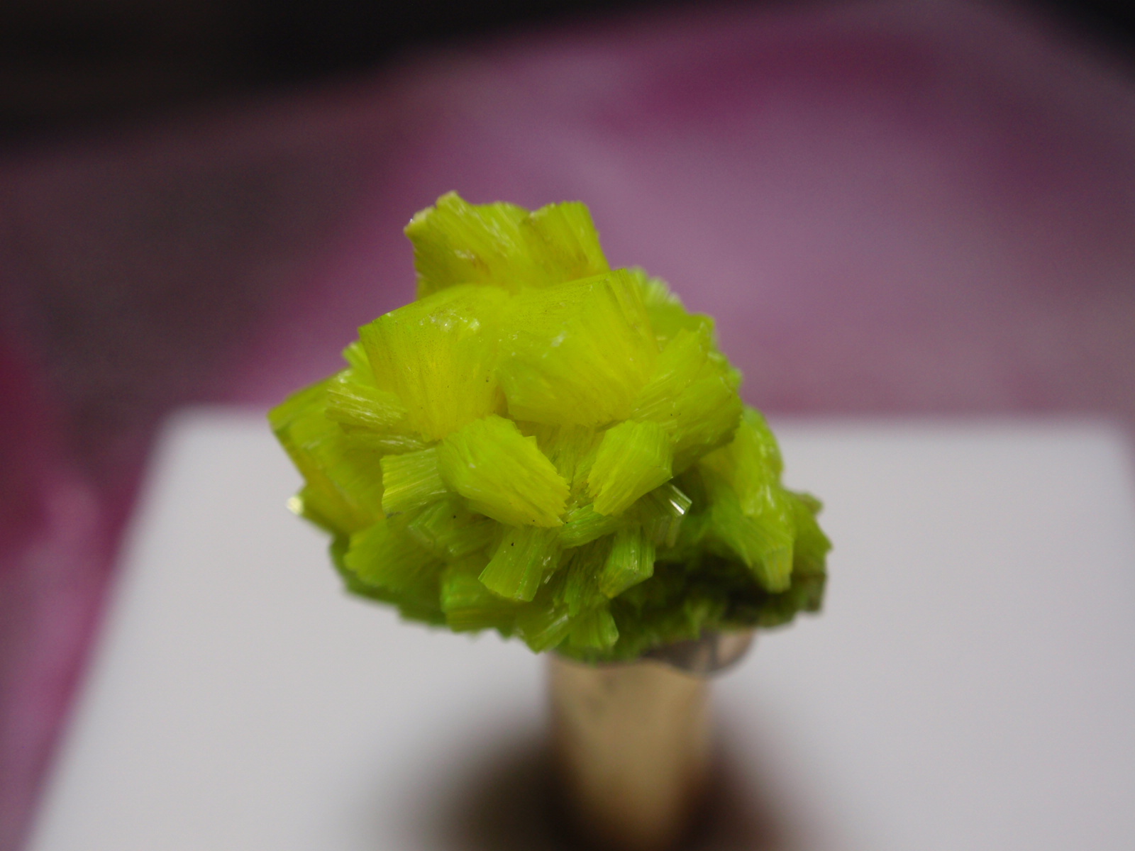 Metaautunita
10x8 mm
(Autor: Ignacio)