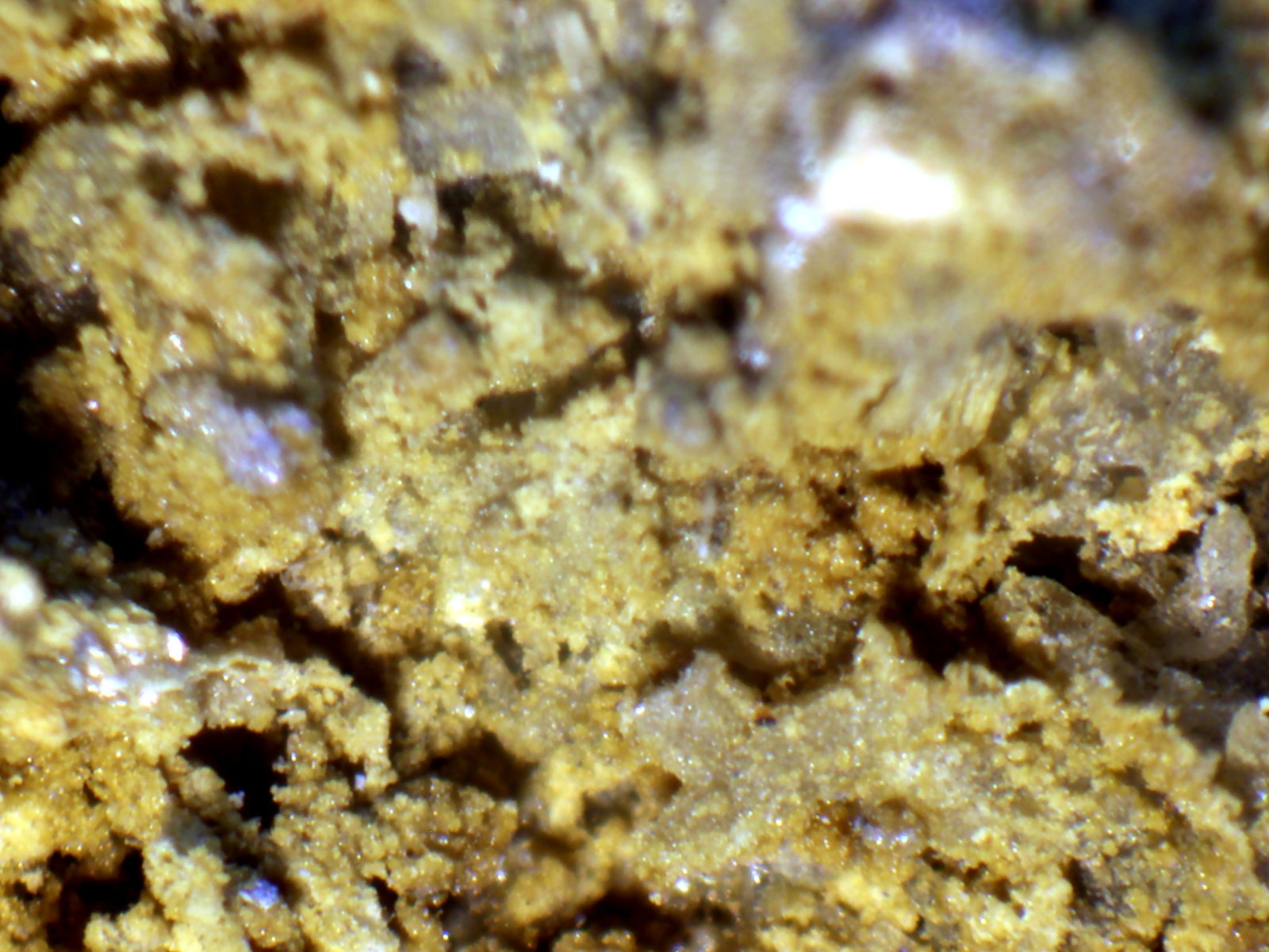 Metavoltina
< 1 mm
(Autor: José Luis Zamora)
