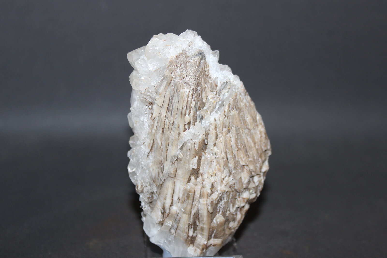 Meyerhofferita
Bigadiç Mine, Bigadiç, Balıkesir Province, Marmara Region, Turkey
100 x 65 mm
(Autor: Joaquin Blanco Cortina)