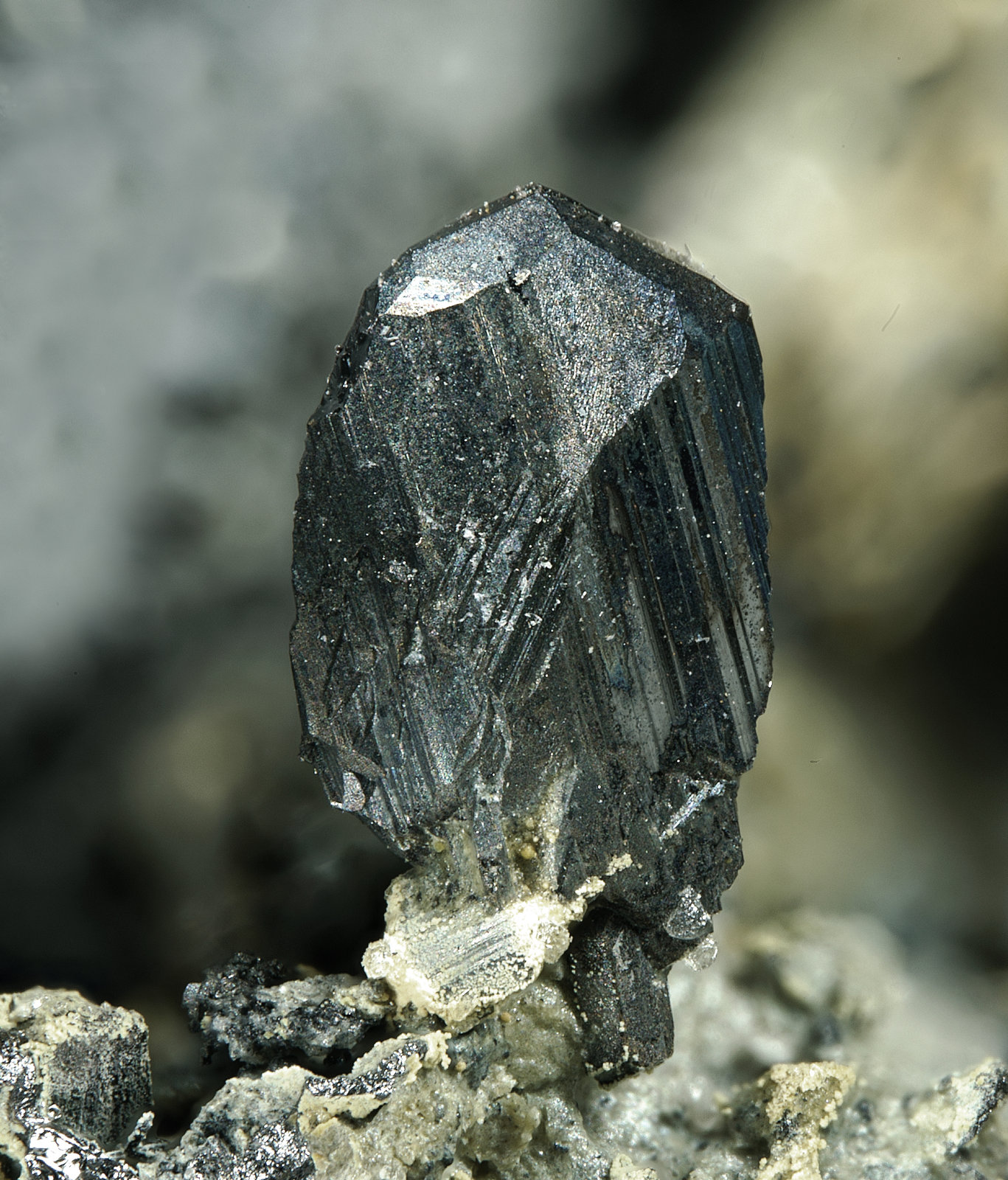 Miargyrita
6.5mm
(Autor: yowanni)