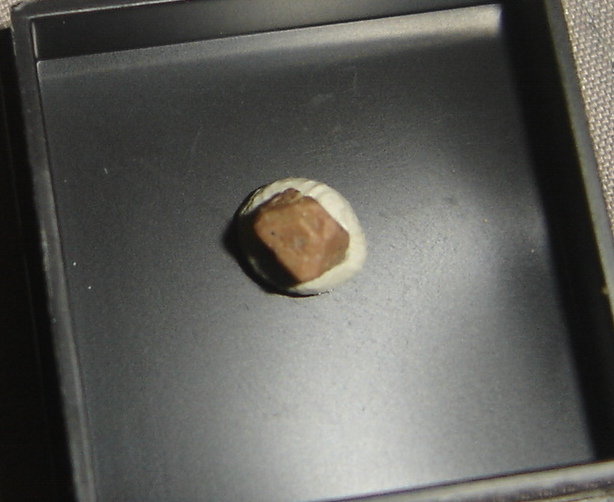 Hidrokenomicrolita
5 x 5 x 5 mm
(Autor: Anisio Claudio)