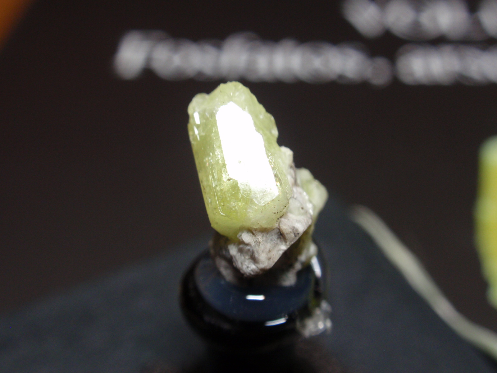 Milarita
5x10 mm
(Autor: Ignacio)