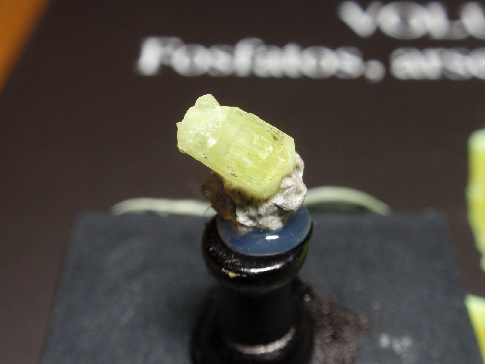 Milarita
5x10 mm
(Autor: Ignacio)