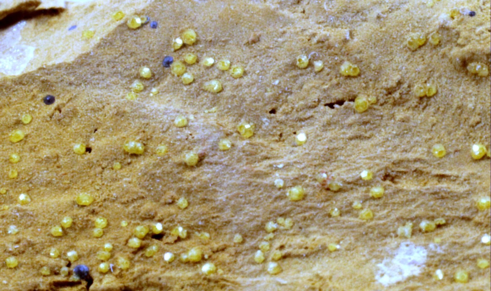 Mimetita
27 x 17 x 12 mm
(Autor: José Luis Zamora)