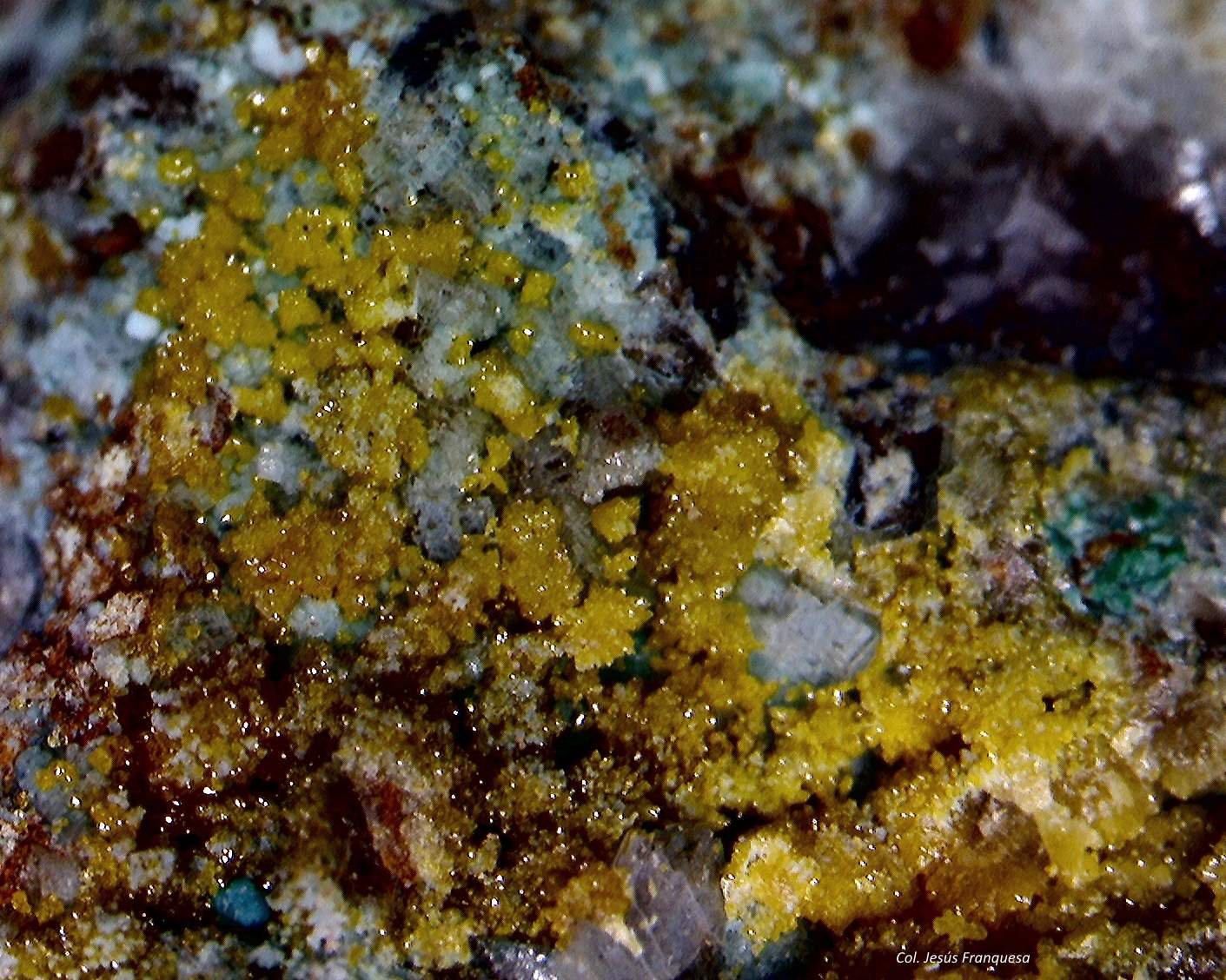 Mimetita.
5´8 x 4´7 mm.
(Autor: Jesus Franquesa Baucells)