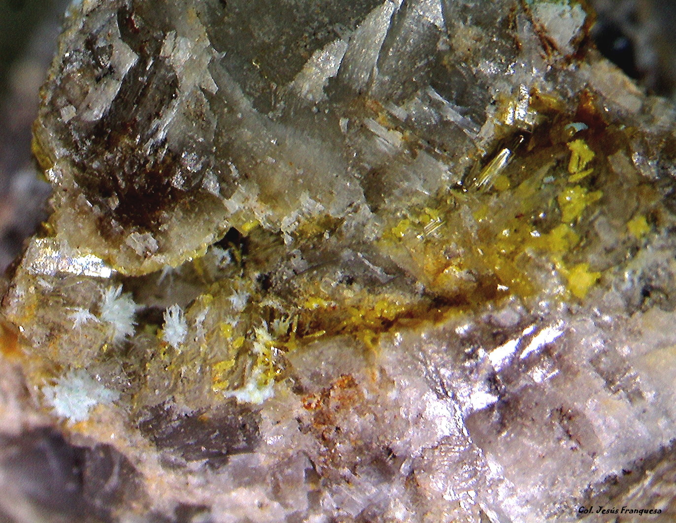 Mimetita y Hemimorfita.
5´371 x 3´552 mm.
(Autor: Jesus Franquesa Baucells)