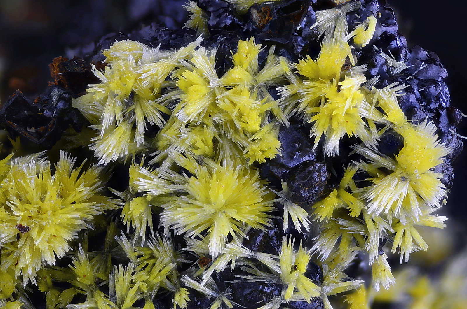 Mimetita
Campo de visión 4,5 mm.
(Autor: Juan Miguel)