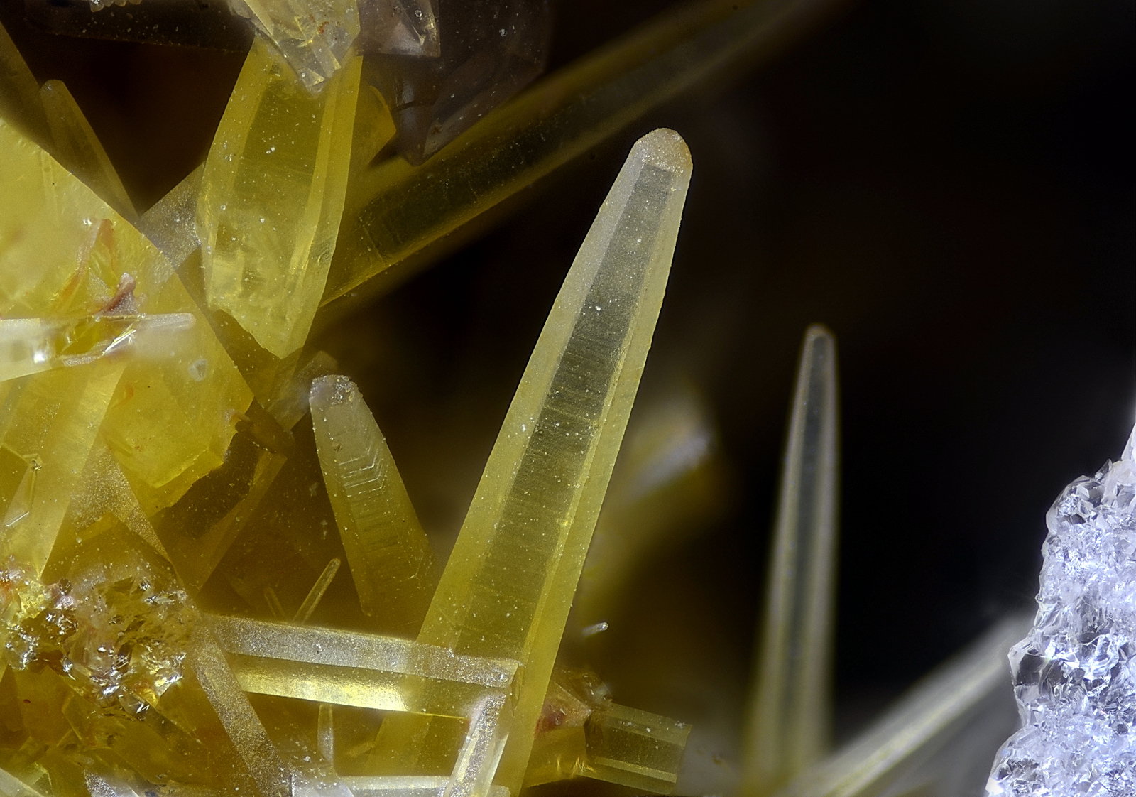 Mimetita
Campo de visión 1,9 mm.
(Autor: Juan Miguel)