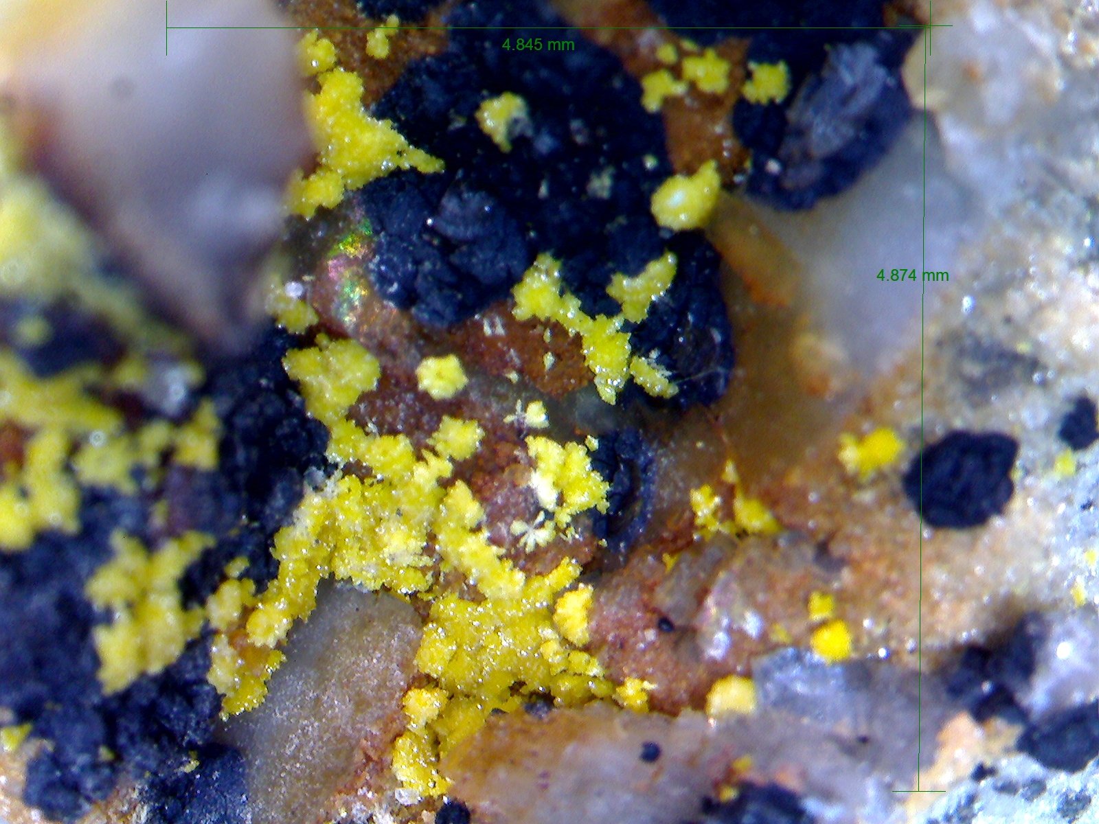 Mimetita.
4´845 x 4´874 mm.
(Autor: Jesus Franquesa Baucells)