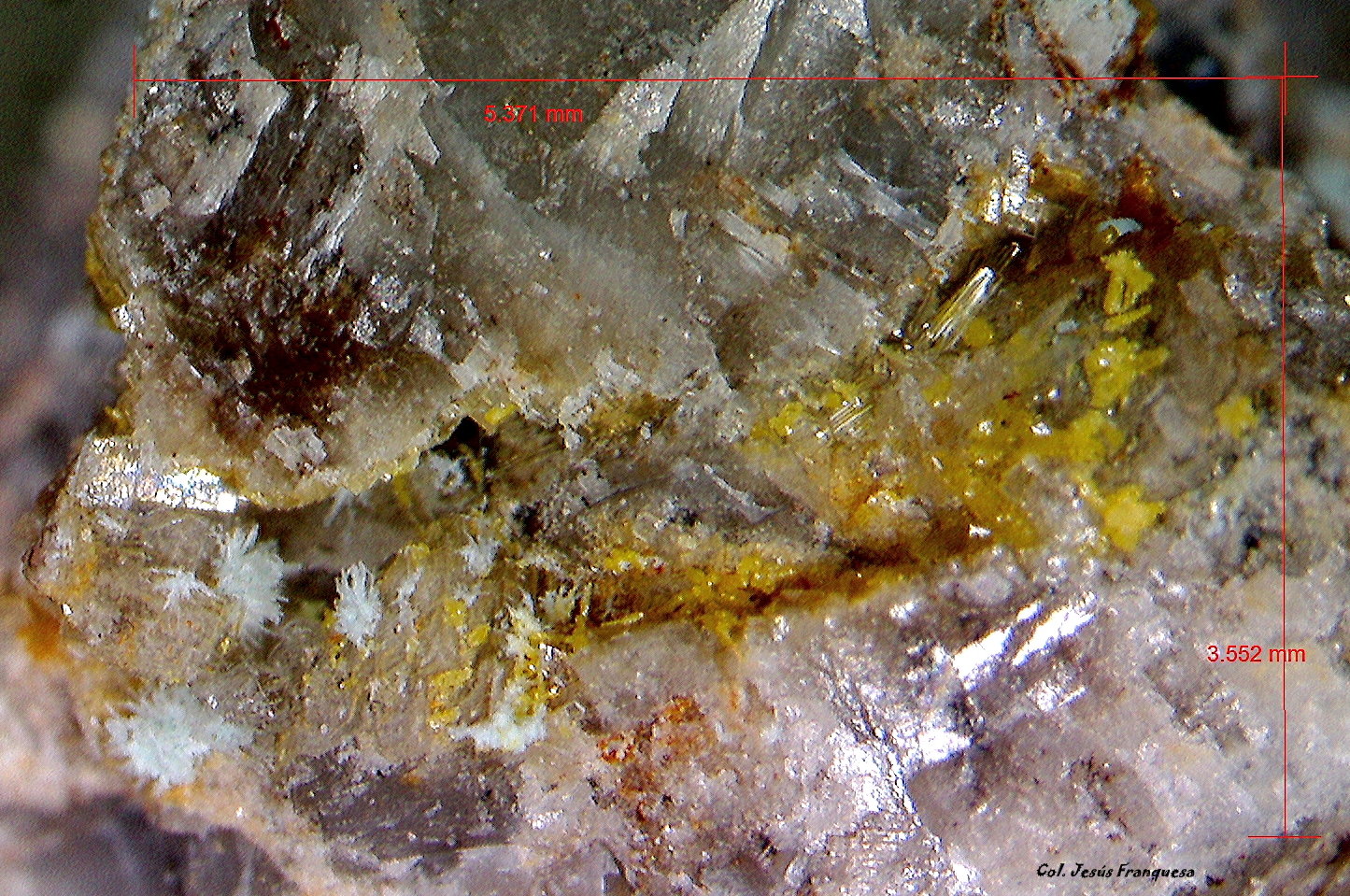 Mimetita y Hemimorfita.
5´371 x 3´552 mm.
(Autor: Jesus Franquesa Baucells)