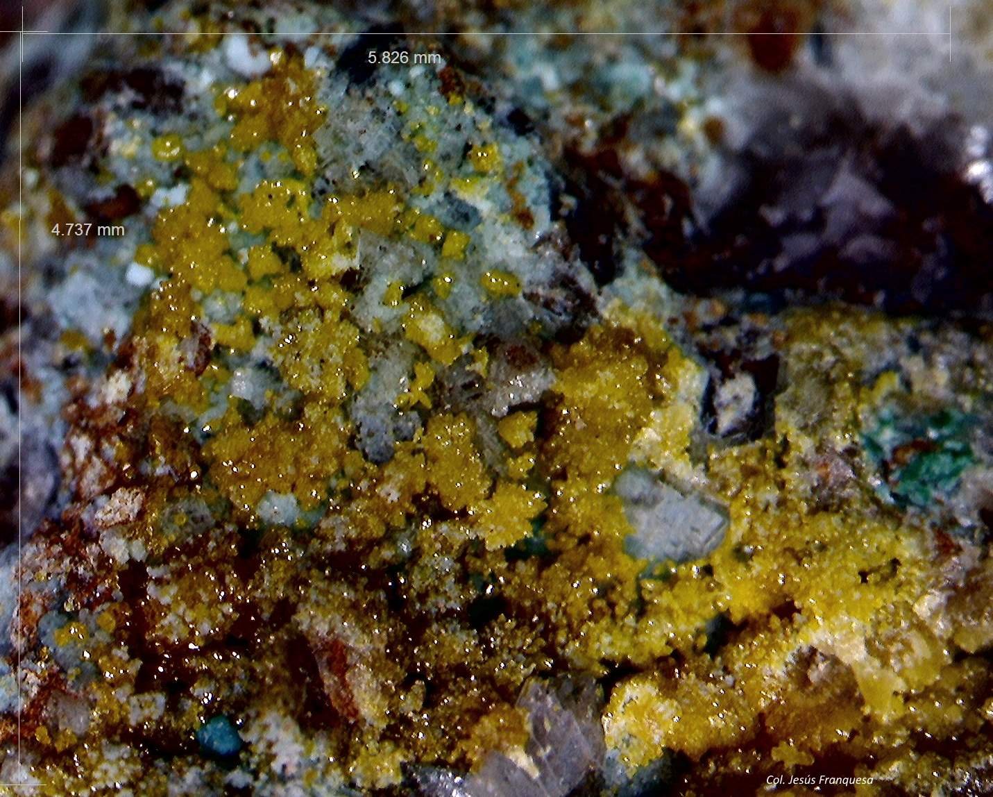 Mimetita.
5´8 x 4´7 mm.
(Autor: Jesus Franquesa Baucells)