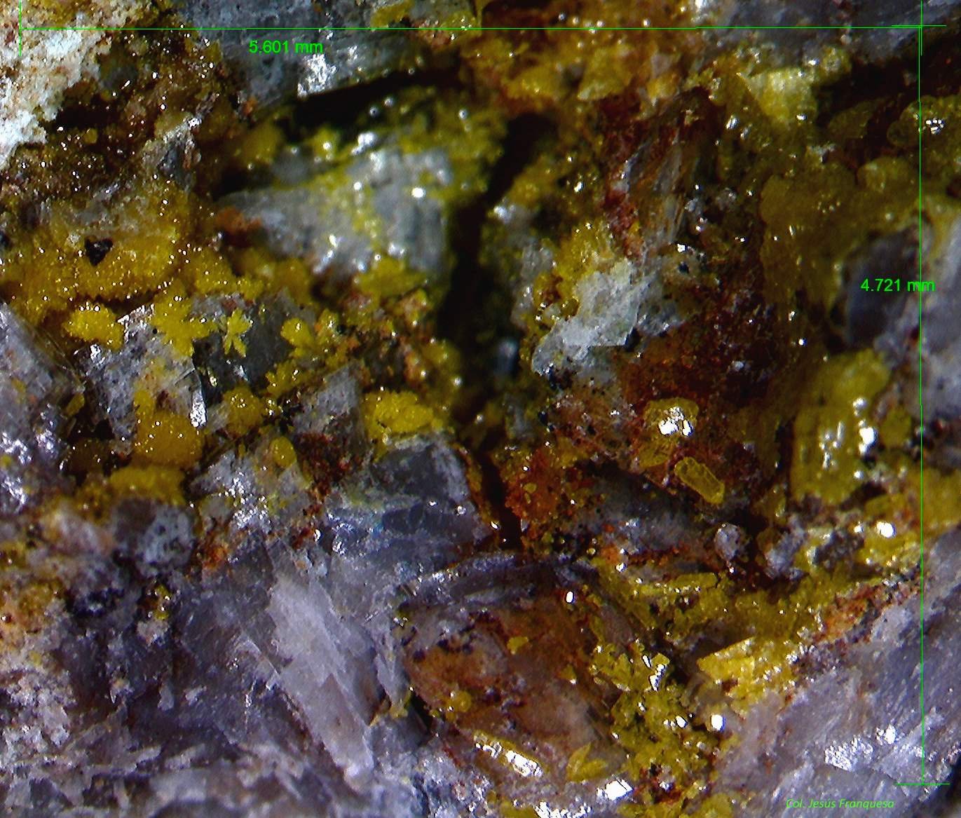Mimetita.
5´601 x 4´721 mm.
(Autor: Jesus Franquesa Baucells)