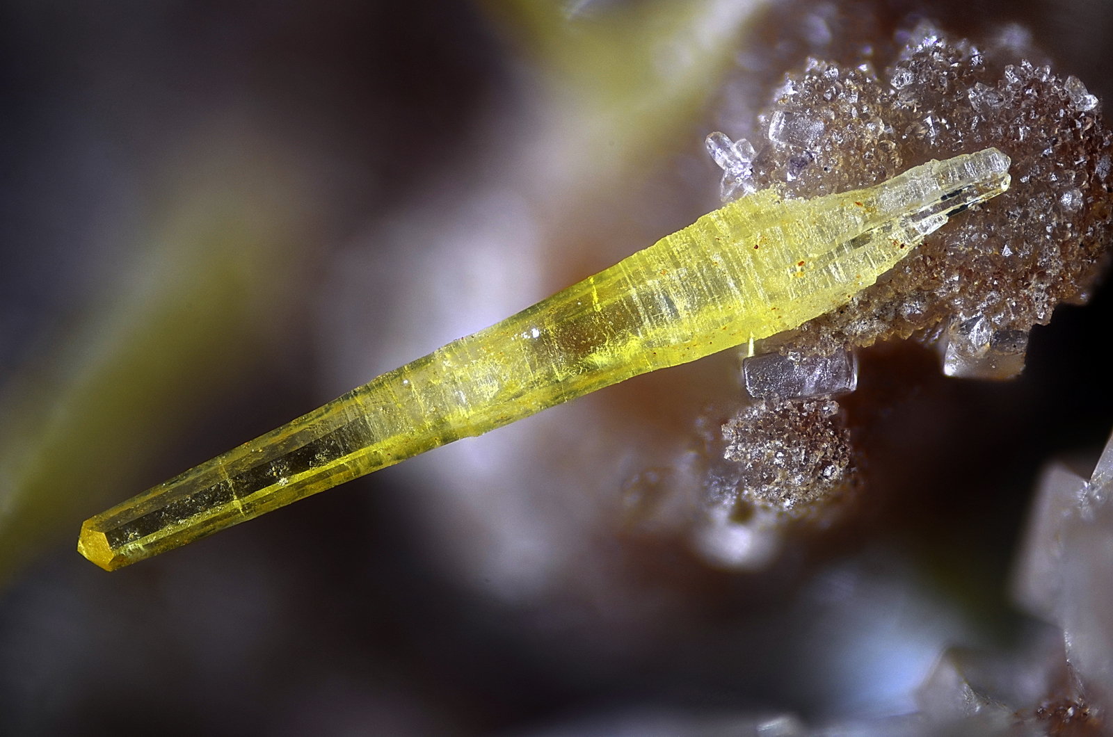 Mimetita
Campo de visión 2,8 mm.
(Autor: Juan Miguel)