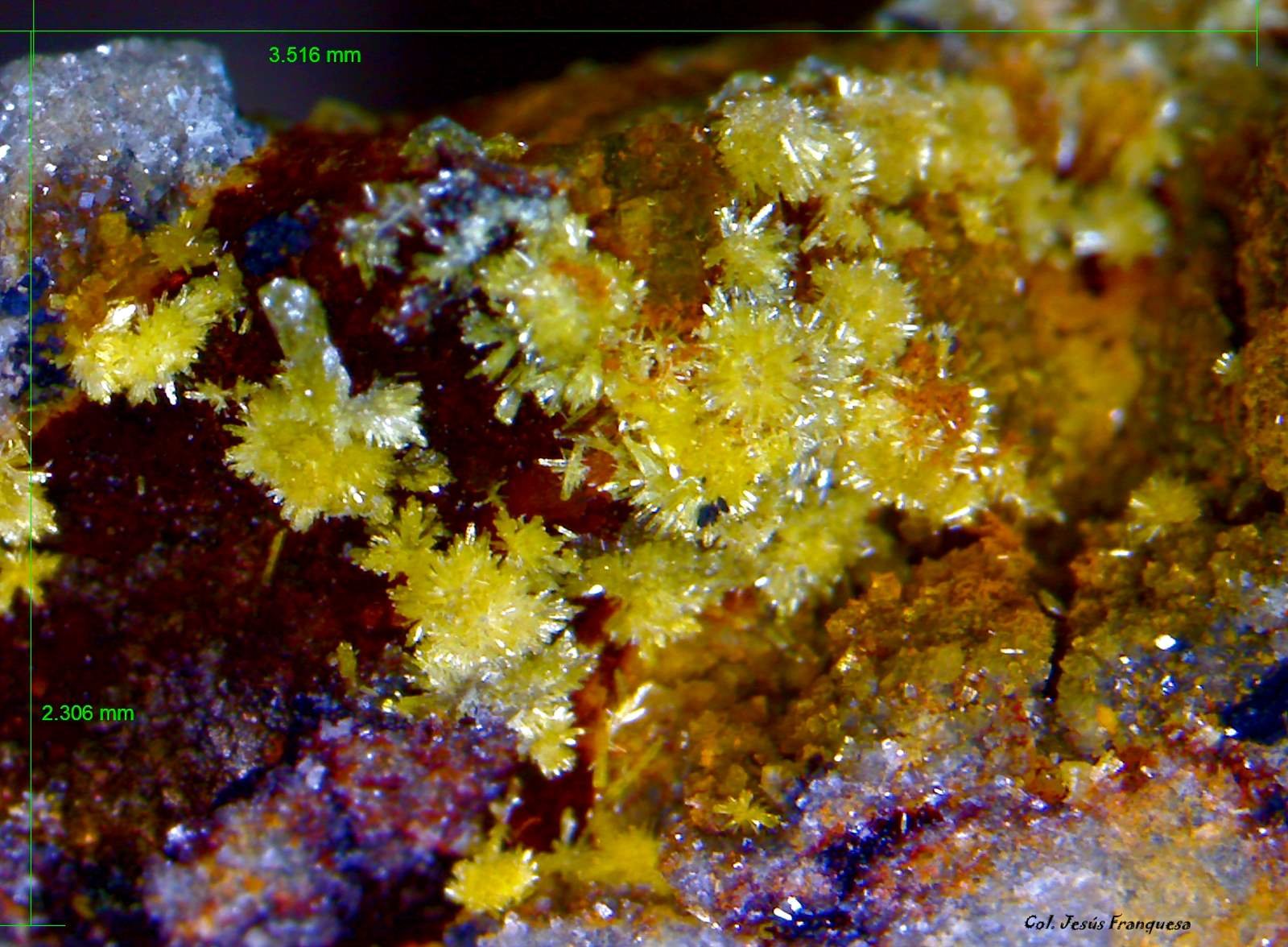 Mimetita.
3´516 m 2´306 mm.
(Autor: Jesus Franquesa Baucells)