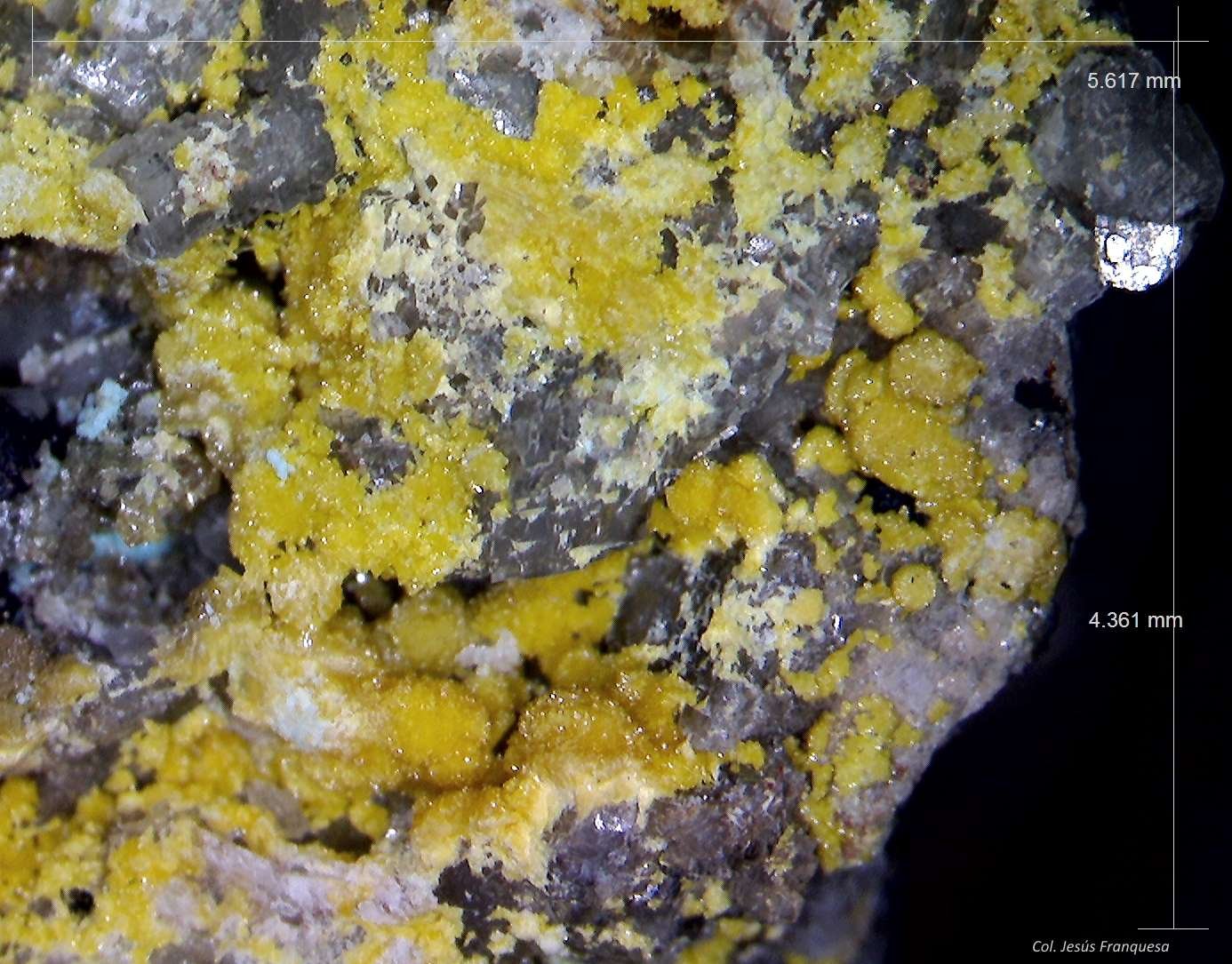 Mimetita.
5´617 x 4´361 mm.
(Autor: Jesus Franquesa Baucells)