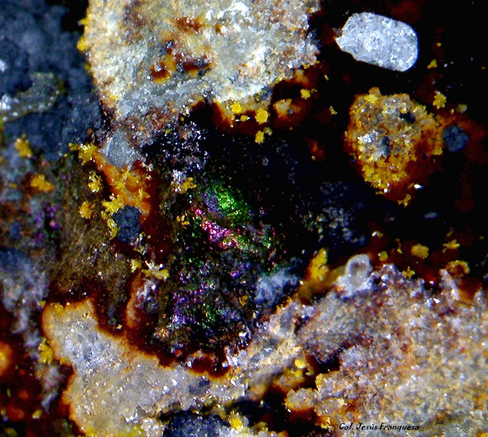 Mimetita y Goethita.
2´739 x 1´950 mm.
(Autor: Jesus Franquesa Baucells)