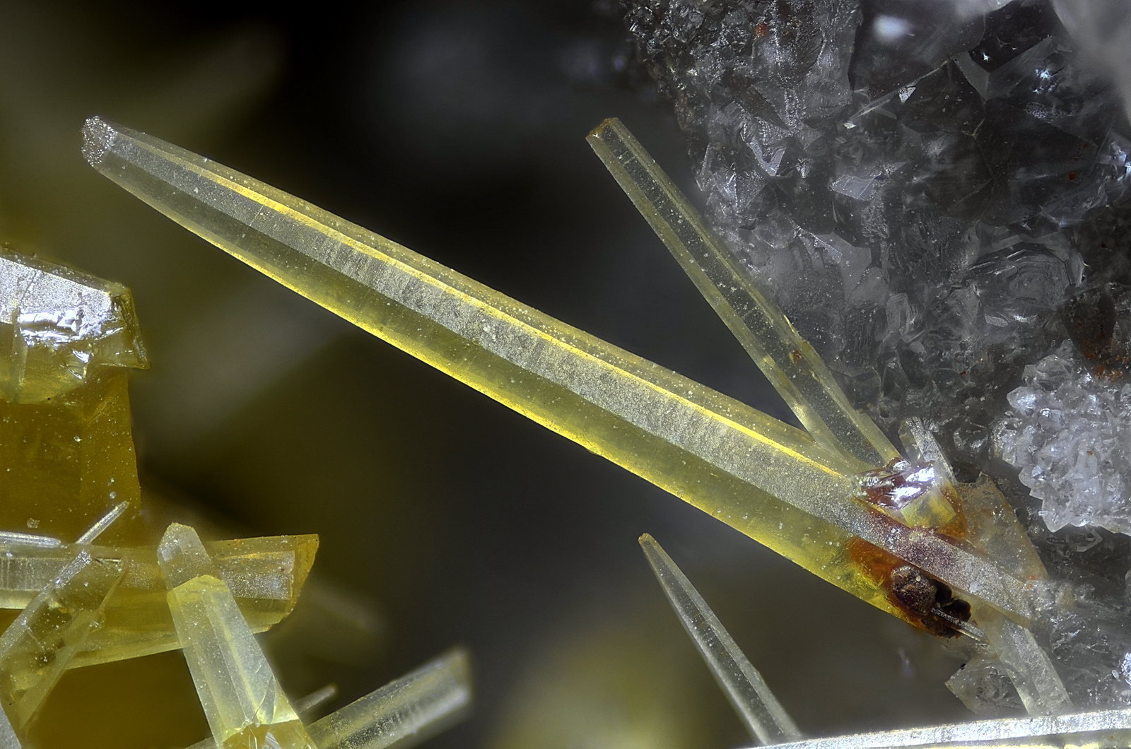 Mimetita
Campo de visión 2 mm.
(Autor: Juan Miguel)