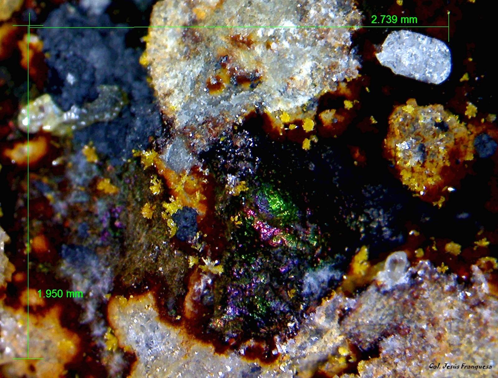 Mimetita y Goethita.
2´739 x 1´950 mm.
(Autor: Jesus Franquesa Baucells)