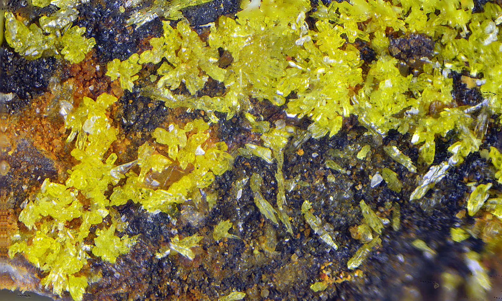Mimetita
Campo de visión de 2 mm.
(Autor: Antonio Carmona)