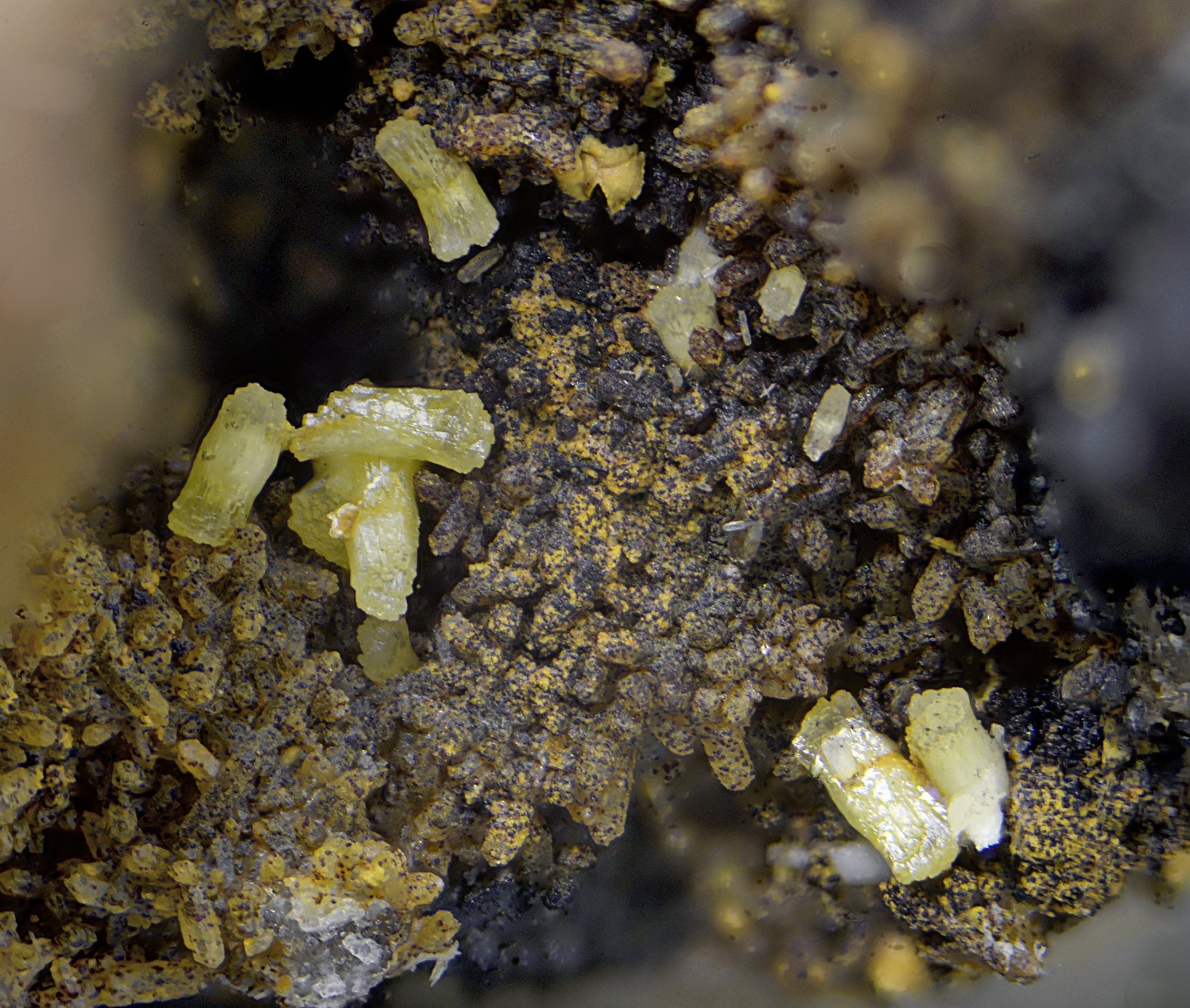 Mimetita
Campo de visión de 3 mm.
(Autor: Antonio Carmona)