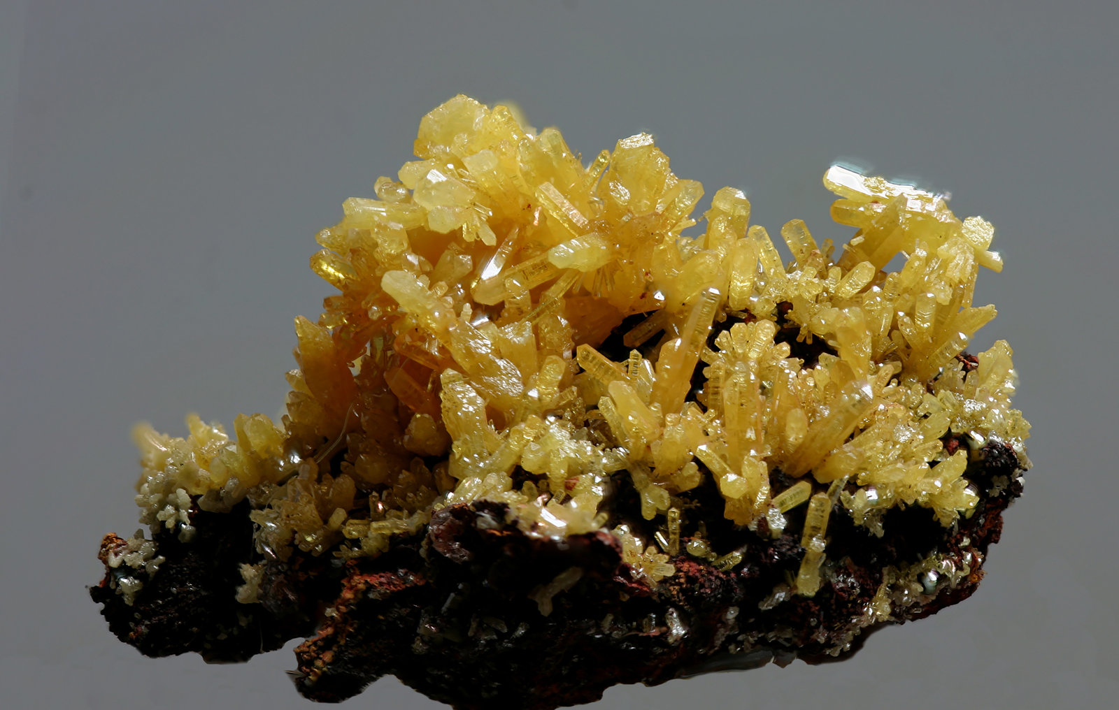 Mimetita
30x20 mm
(Autor: Ramon A  Lopez Garcia)